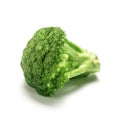 Single broccoli Royalty Free Stock Photo