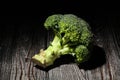 single broccoli on wood