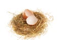 Single broken egg in nest Royalty Free Stock Photo