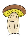 Single brown boletus mushroom in adult form, hand drawn vector illustration