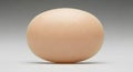 A Single Brown Chicken Egg Isolated on a Neutral Background Royalty Free Stock Photo
