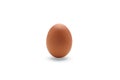 Single brown chicken egg isolated on white background with clipping path Royalty Free Stock Photo