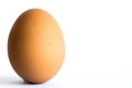 Single brown chicken egg isolated on white background. Copy Space Royalty Free Stock Photo