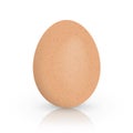 Single brown chicken egg isolated on white background. Vector illustration. Royalty Free Stock Photo