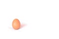 Single brown chicken egg on white fabric background Royalty Free Stock Photo