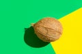 Single brown coconut on duotone graphic yellow green background. Hard light harsh shadows. Trendy funky minimalist style. Creative