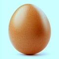 Single brown egg close up on a light blue plain background isolated on  white  background Royalty Free Stock Photo
