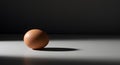 Single Brown Egg in a Dramatic Spotlight Royalty Free Stock Photo