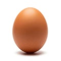 Single brown egg Royalty Free Stock Photo