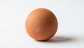 A single brown egg is placed against a plain white background Royalty Free Stock Photo