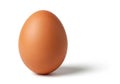 Single brown egg Royalty Free Stock Photo