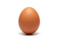 Single brown egg Royalty Free Stock Photo