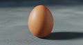 Single Brown Egg on Textured Surface with Shadow Royalty Free Stock Photo