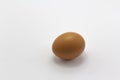 single brown egg on white background, free range egg copy space horizontal Royalty Free Stock Photo