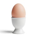 Single Brown Egg in a White Ceramic Egg Cup white egg cup breakfast Royalty Free Stock Photo