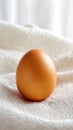 Single Brown Egg on White Fabric Background Royalty Free Stock Photo