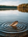 A single brown feather gently floating on calm water creating ripples with soft focus forest background under serene sky at sunset Royalty Free Stock Photo