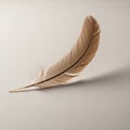 A single brown feather rests delicately on a smooth, neutral-toned surface. The feather Royalty Free Stock Photo