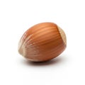 Single Brown Hazelnut in Shell with Textured Surface on White Background food Royalty Free Stock Photo