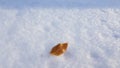 Single brown leaf atop clean white snow surface in bright sunlight. Small autumn leaf with winter snow background. Cold weather Royalty Free Stock Photo