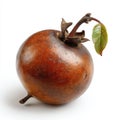 Single Brown Medlar Fruit With Glitter and Single Green Leaf on White Background Studio Shot Royalty Free Stock Photo