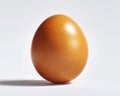 Single Brown Speckled Egg On White Background With Dramatic Shadow Royalty Free Stock Photo