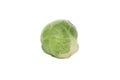 Single brussels sprout isolated on background Royalty Free Stock Photo