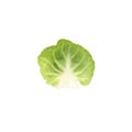 Single brussels sprout isolated on background Royalty Free Stock Photo