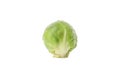 Single brussels sprout isolated on background Royalty Free Stock Photo