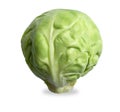 Single brussels sprout on white with path