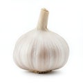Single Bulb of Off-White Garlic on White Background Royalty Free Stock Photo