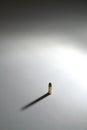 Single bullet standing on a white surface with long dramatic shadow. Royalty Free Stock Photo