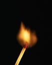 Single burning match on black background Royalty Free Stock Photo