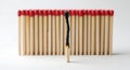 A single, burnt match standing upright in front of a row of unlit matches with red tips, set against a white background. Royalty Free Stock Photo