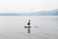 Canada Goose on a Stone in the Hudson River Valley on a Foggy Day in Cold Spring New York Royalty Free Stock Photo