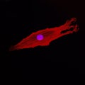 Single cancer cell invading during the metastatic process. Visible nucleus and actin filaments. Royalty Free Stock Photo