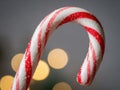 Single candy cane with sparkling sugar Royalty Free Stock Photo