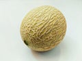 Cantaloupe melon fruit rock-melon muskmelon sweet-melon ambrosia-melon panspek kharbooja cantalupo cucumis melo reticulatus photo Royalty Free Stock Photo