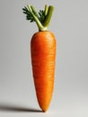 A single carrot with a green stem on a white surface Royalty Free Stock Photo