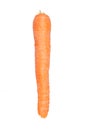 Single carrot isolated