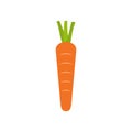 Carrot icon isolated on white background. Orange crunchy vegetable.