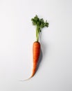 A single carrot on a white surface. AI generative image. Royalty Free Stock Photo