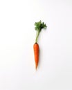 A single carrot on a white surface. AI generative image. Royalty Free Stock Photo