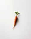A single carrot on a white surface. AI generative image. Royalty Free Stock Photo