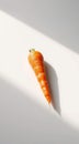 Single Carrot on White Surface Royalty Free Stock Photo
