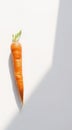 Single Carrot on White Surface Royalty Free Stock Photo