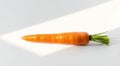 Single Carrot on White Surface Royalty Free Stock Photo