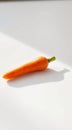 Single Carrot on White Surface Royalty Free Stock Photo