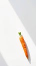 Single Carrot on White Surface Royalty Free Stock Photo