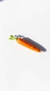 Single Carrot on White Surface Royalty Free Stock Photo